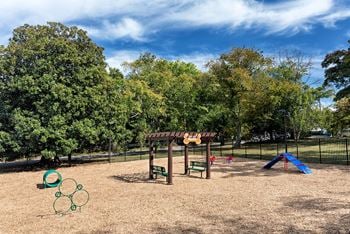 Dog park